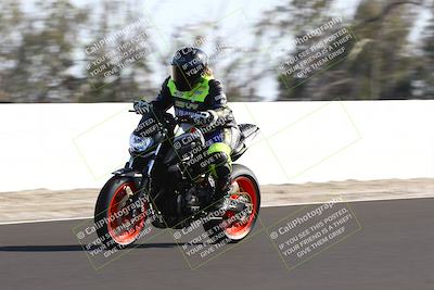 media/Feb-16-2025-TrackDaz (Sun) [[85eae43da9]]/C Group/140pm (Wheelie Dip)/